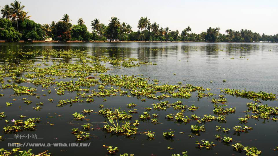 إJpa-whaȦï-ةԩԨwԤKUMARAKOM